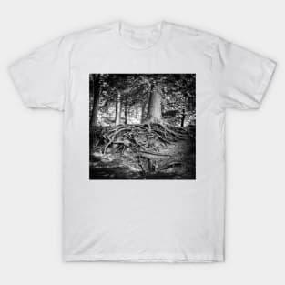 strong root system on the tree in the magic forest T-Shirt